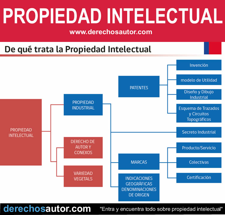 Propiedad intelectual: ¿Qué protege la Propiedad Intelectual?